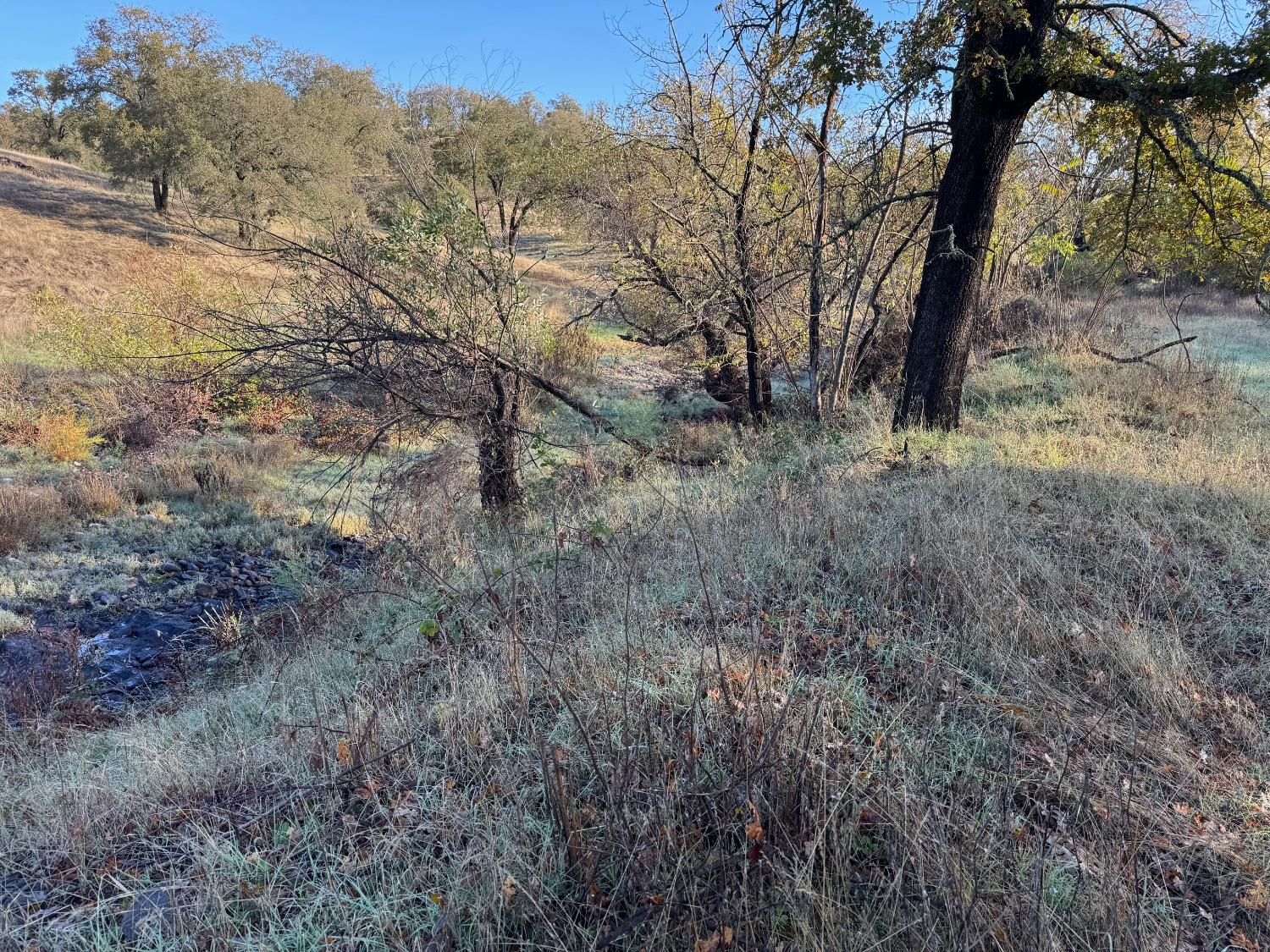 0 Vaira Ranch Road Drytown, CA 95699 - Photo 25 of 26 a view of a forest with trees in the background