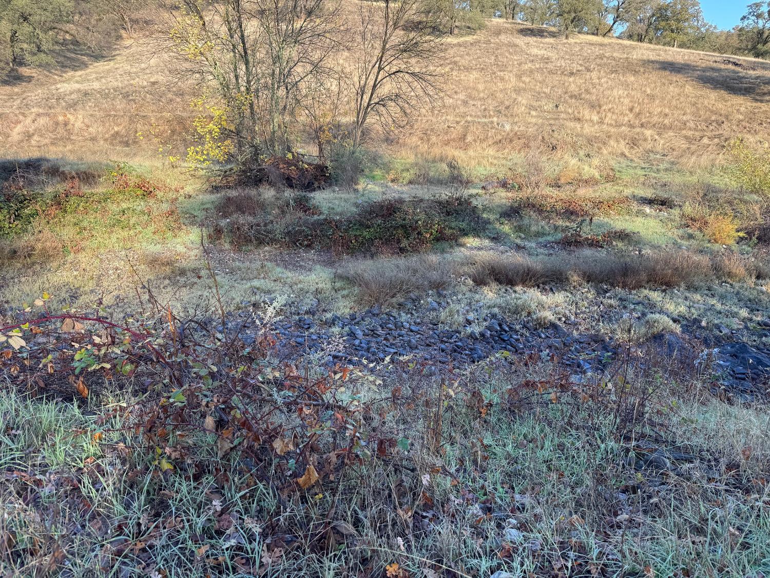0 Vaira Ranch Road Drytown, CA 95699 - Photo 26 of 26 a view of a yard