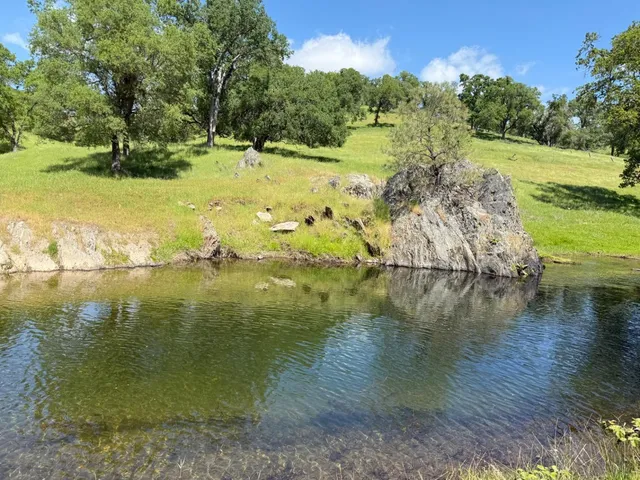 a view of lake view with large trees
