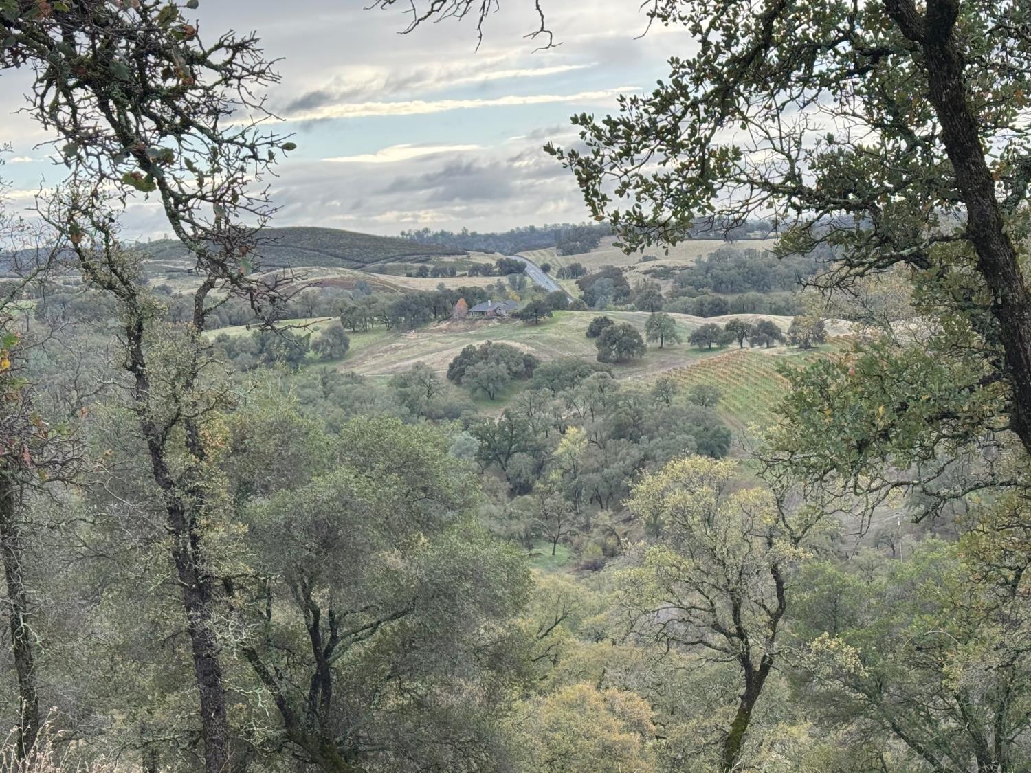 0 Vaira Ranch Road Drytown, CA 95699 - Photo 6 of 26 a view of a yard with large trees