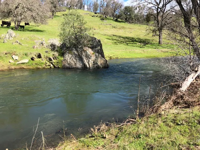 a view of a lake with a yard
