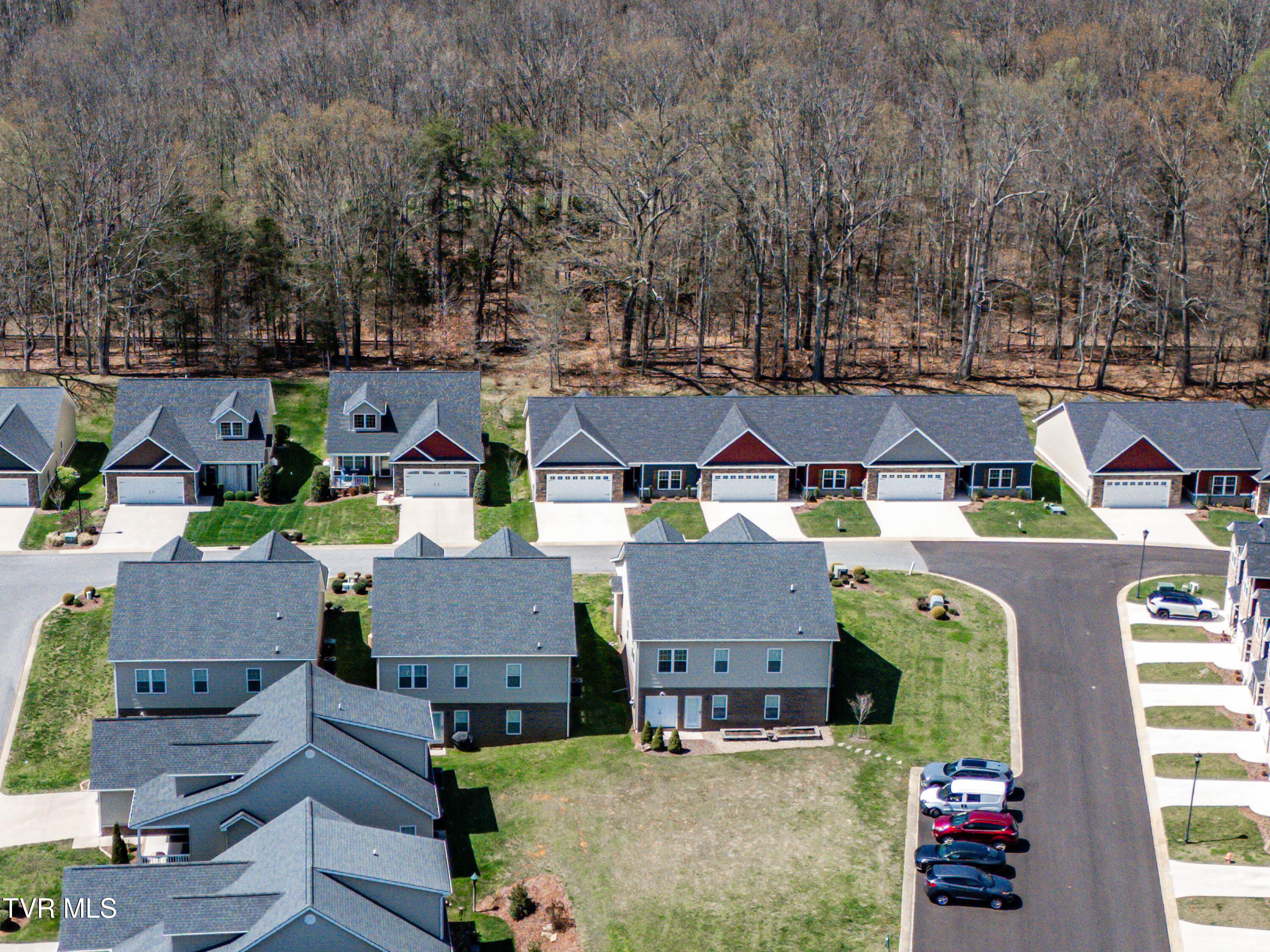 309 Piper Glen Gray, TN 37615 - Photo 45 of 53 dji_fly_20250401_135836_0328_17435307103