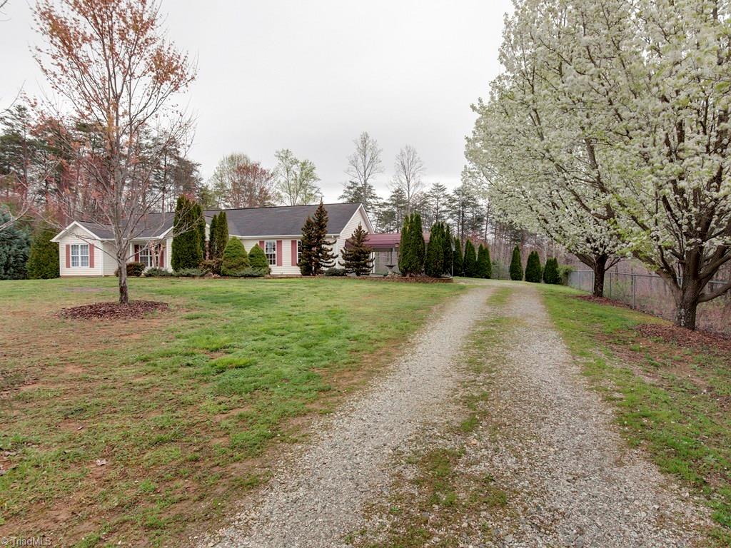 The inviting tree lined driveway.