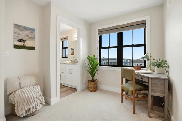 a living room with furniture and a potted plant