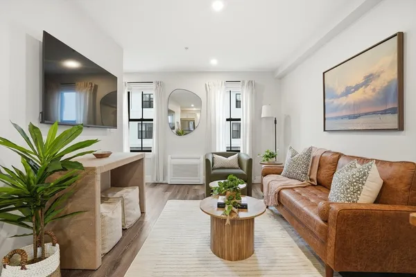a living room with furniture flowerpot and a potted plant