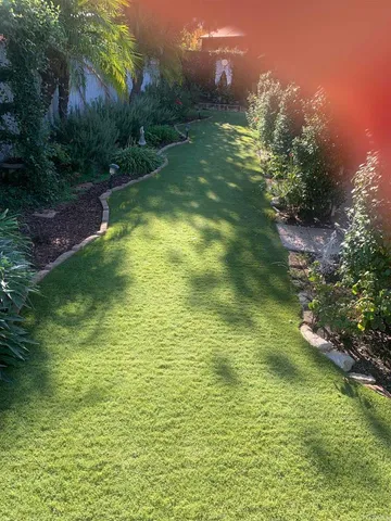 a front view of a house with yard
