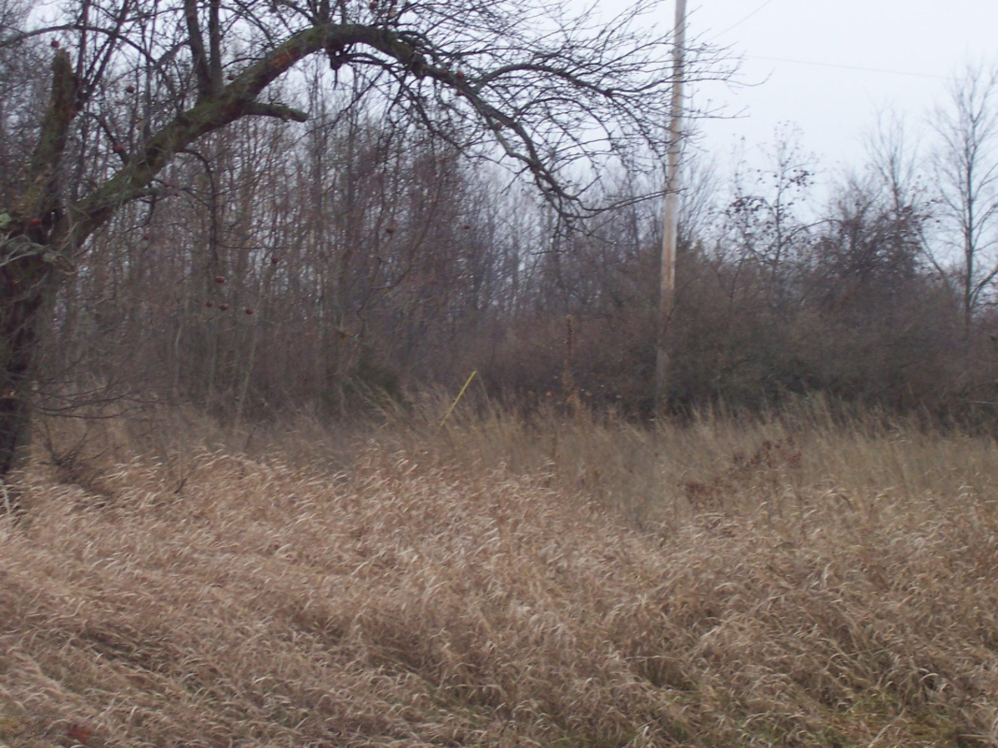 14110 Heffron Road Northeast Belding, MI 48809 - Photo 3 of 6 100_3181