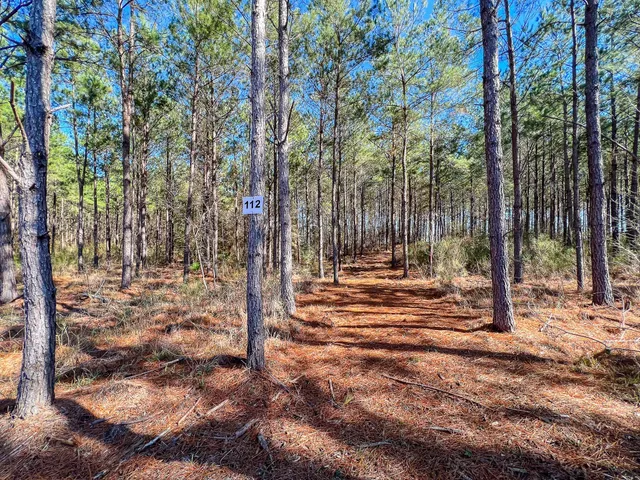 $240,165 | 112 Fm 705, Broaddus, TX 75929