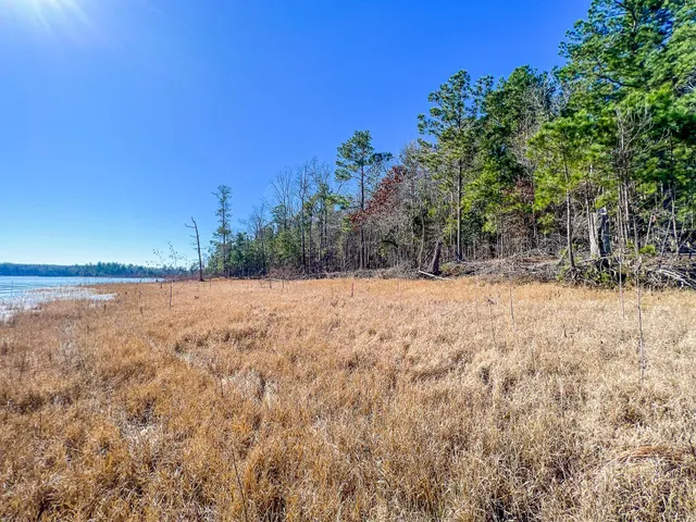 $240,165 | 112 Fm 705, Broaddus, TX 75929