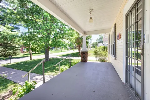 a view of a garden with plants and large trees