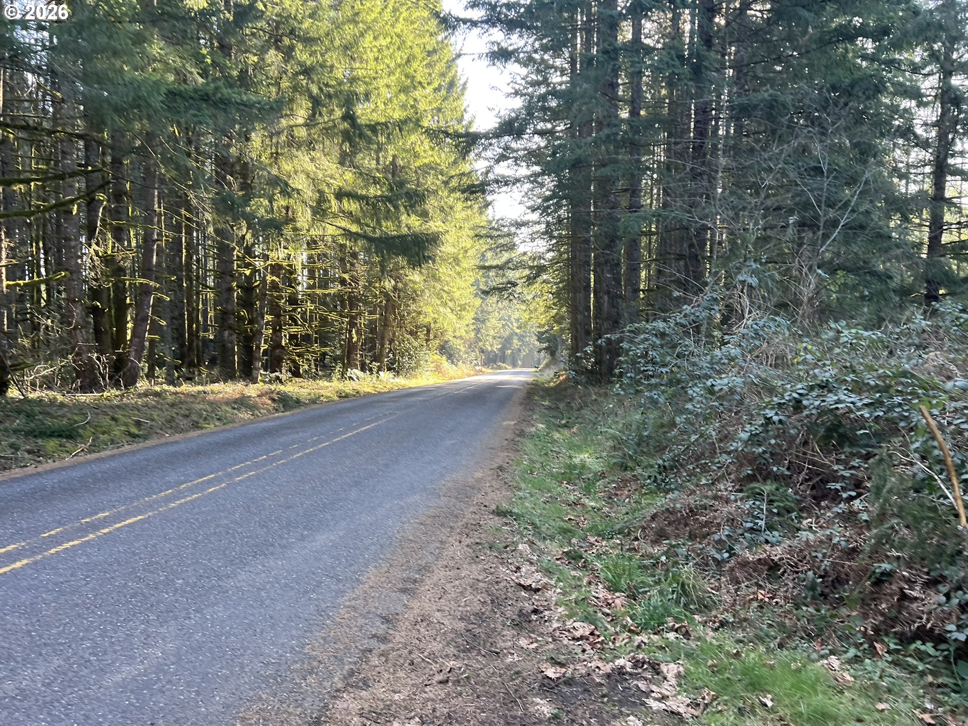 39775 Southeast Kitzmiller Road Eagle Creek, OR 97022 - Photo 5 of 15 Gallery Image 5