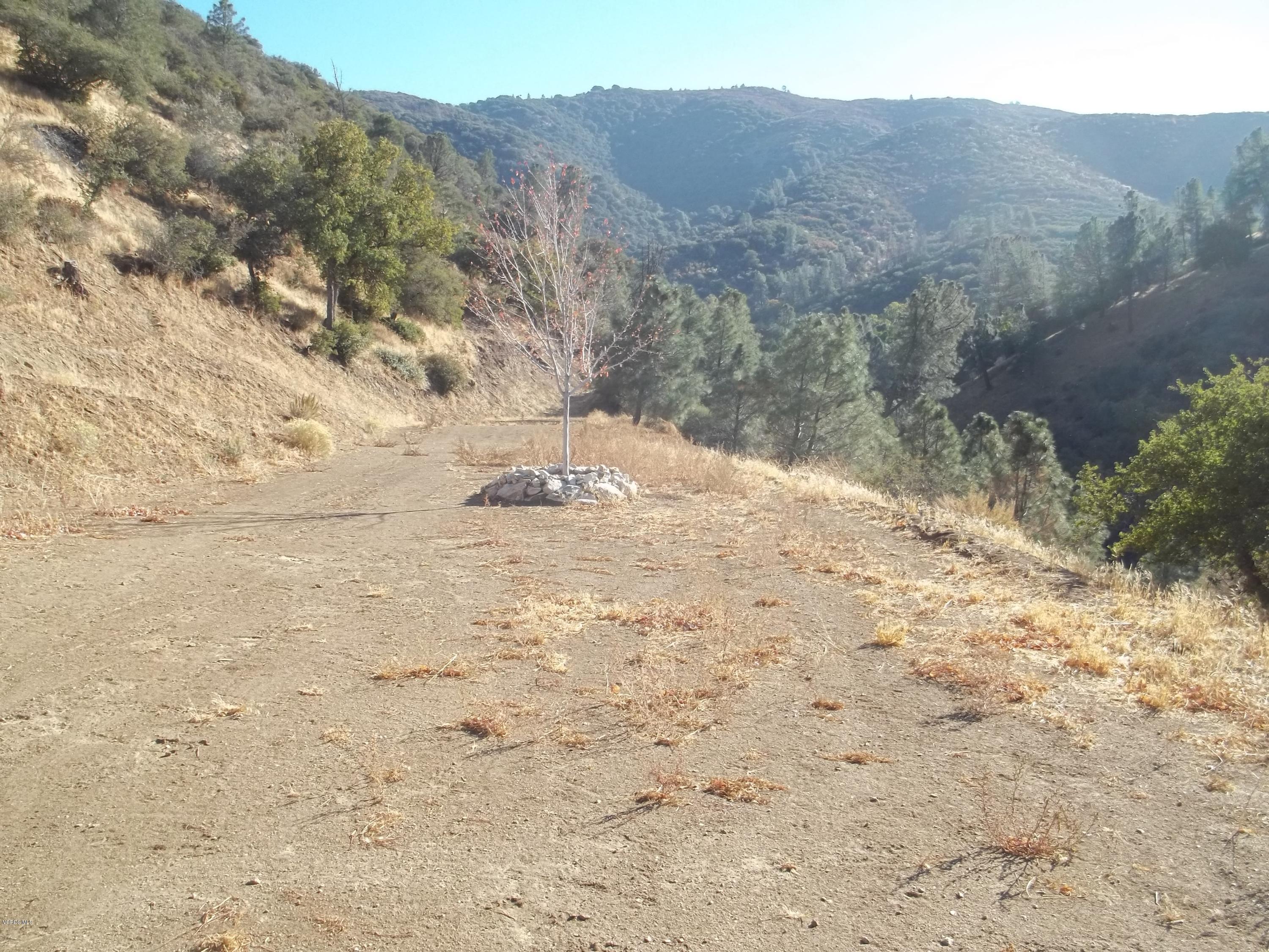 19370 Water Canyon Road Tehachapi, CA 93561 - Photo 32 of 38 a view of a dry yard with mountains in the background