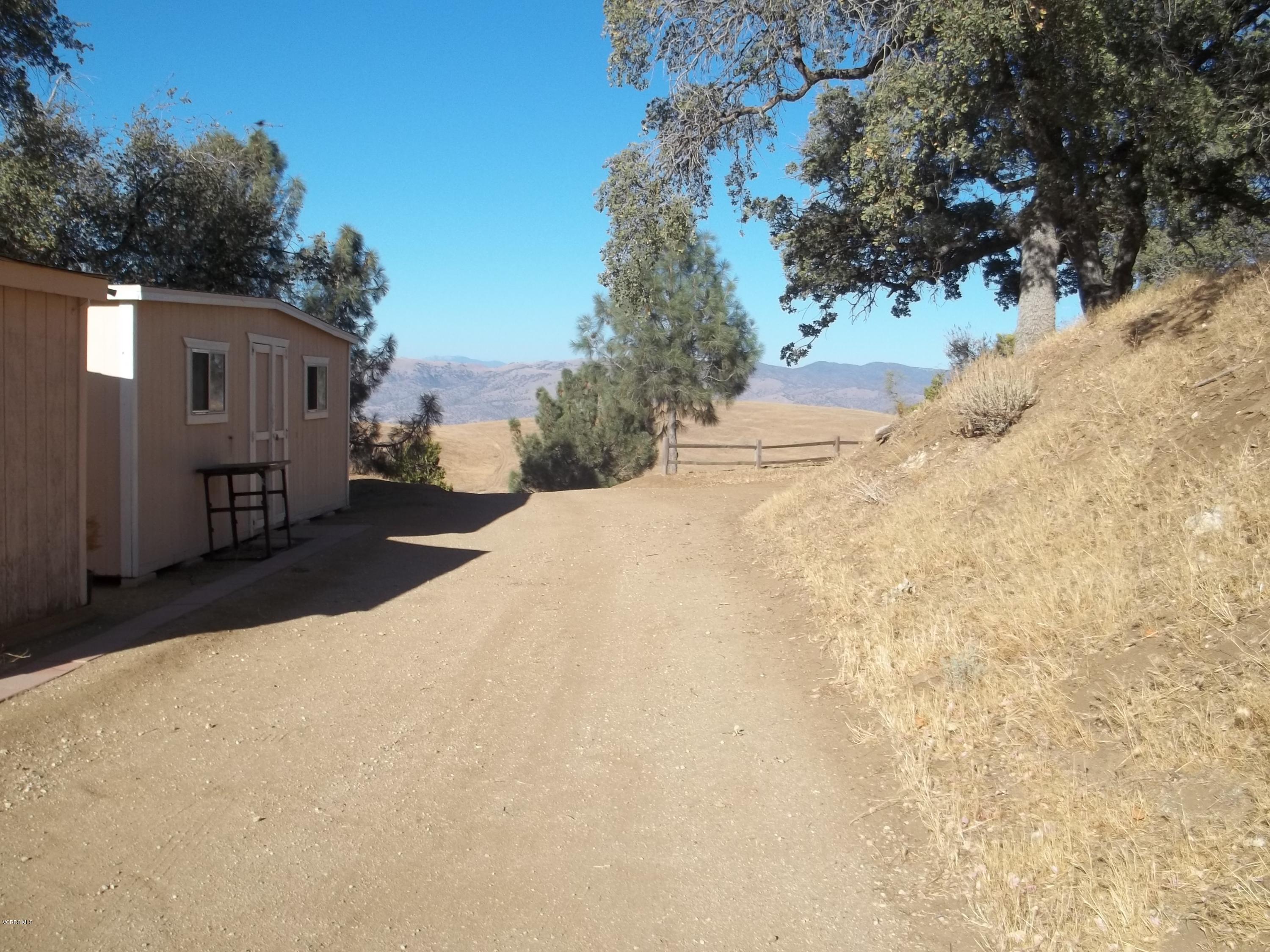 19370 Water Canyon Road Tehachapi, CA 93561 - Photo 35 of 38 a view of a backyard with large trees