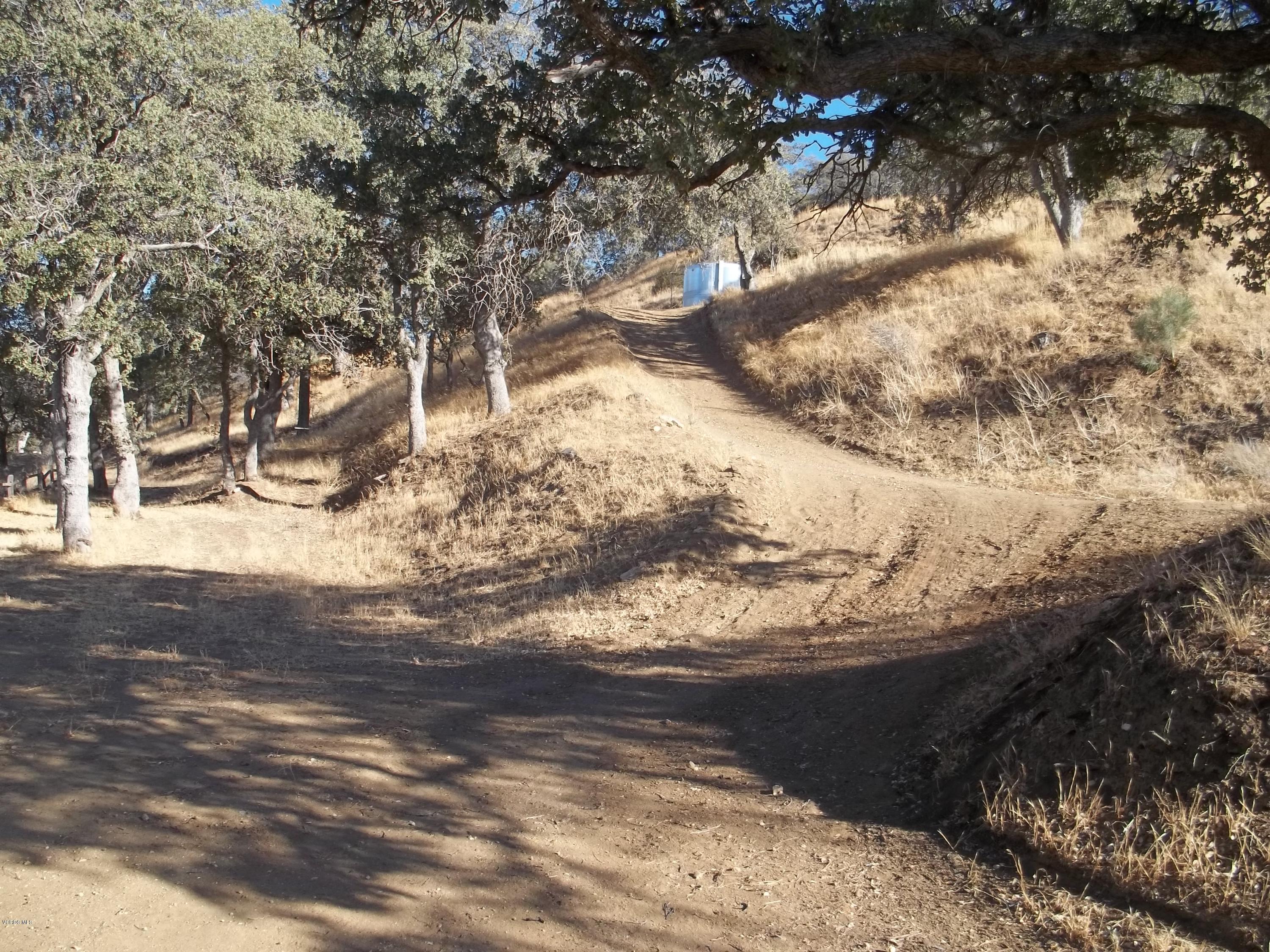 19370 Water Canyon Road Tehachapi, CA 93561 - Photo 37 of 38 a view of snow on side of road with trees