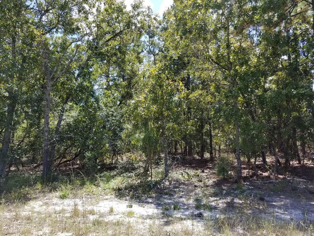 Lot 11 Colbert Bridge Road Windsor, SC 29856 - Photo 3 of 6
