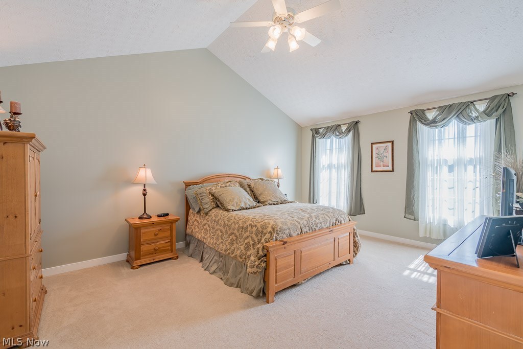7474 North Marblehead Road Hudson, OH 44236 - Photo 19 of 34 Master Suite with Vaulted ceiling.