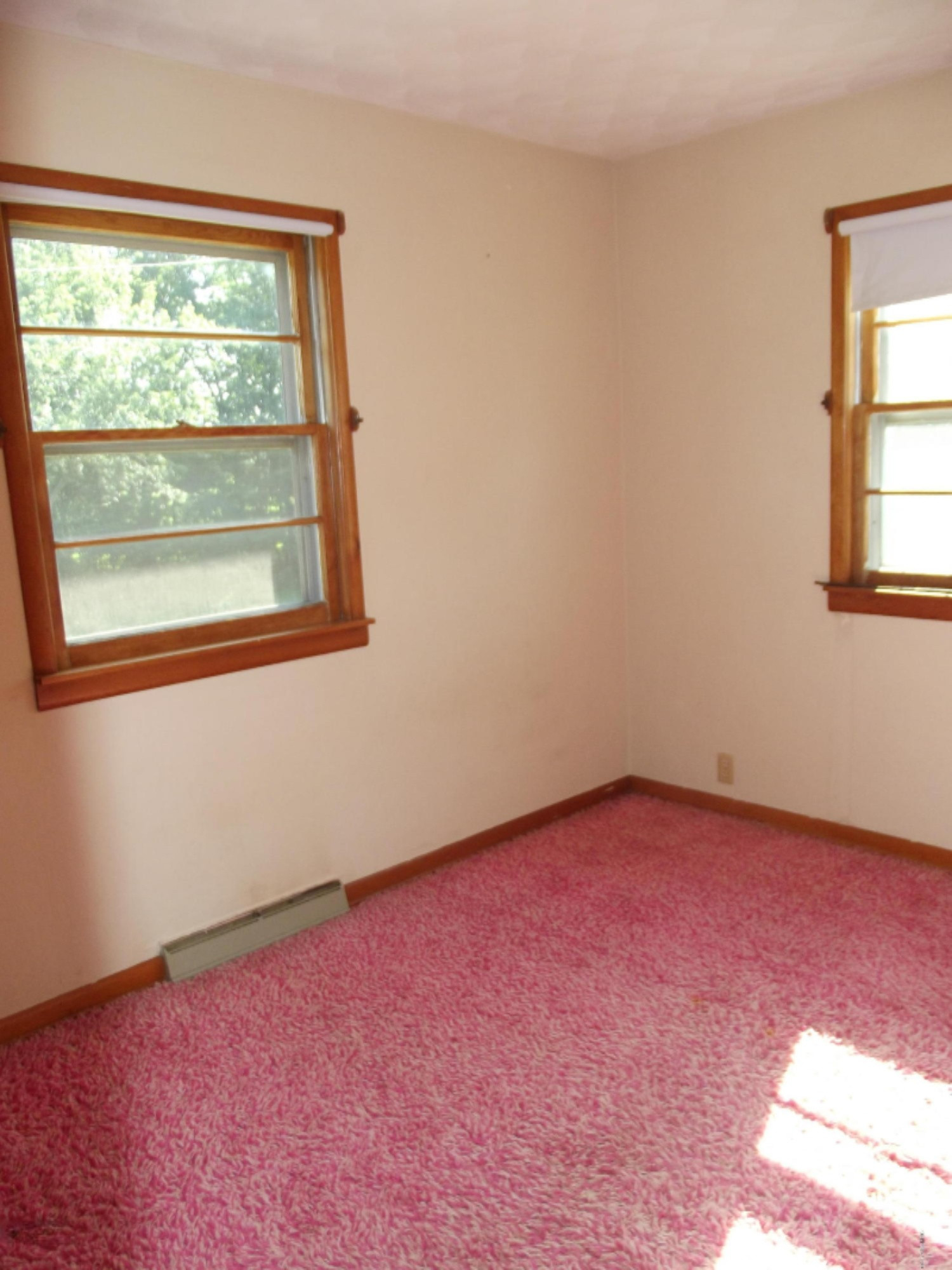 8511 Maple Grove Road Nashville, MI 49073 - Photo 12 of 35 DSCF1855
