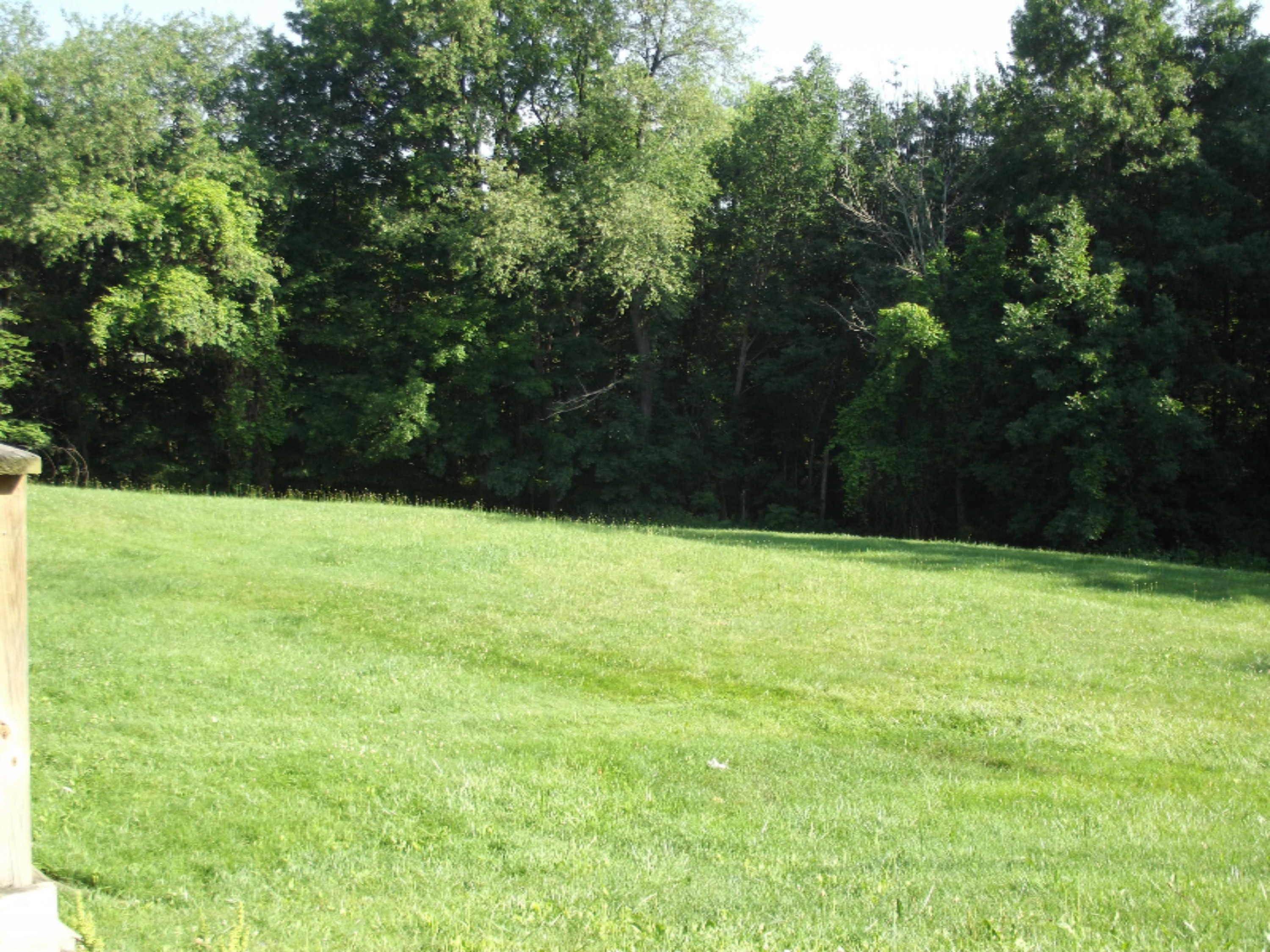 8511 Maple Grove Road Nashville, MI 49073 - Photo 26 of 35 DSCF1846