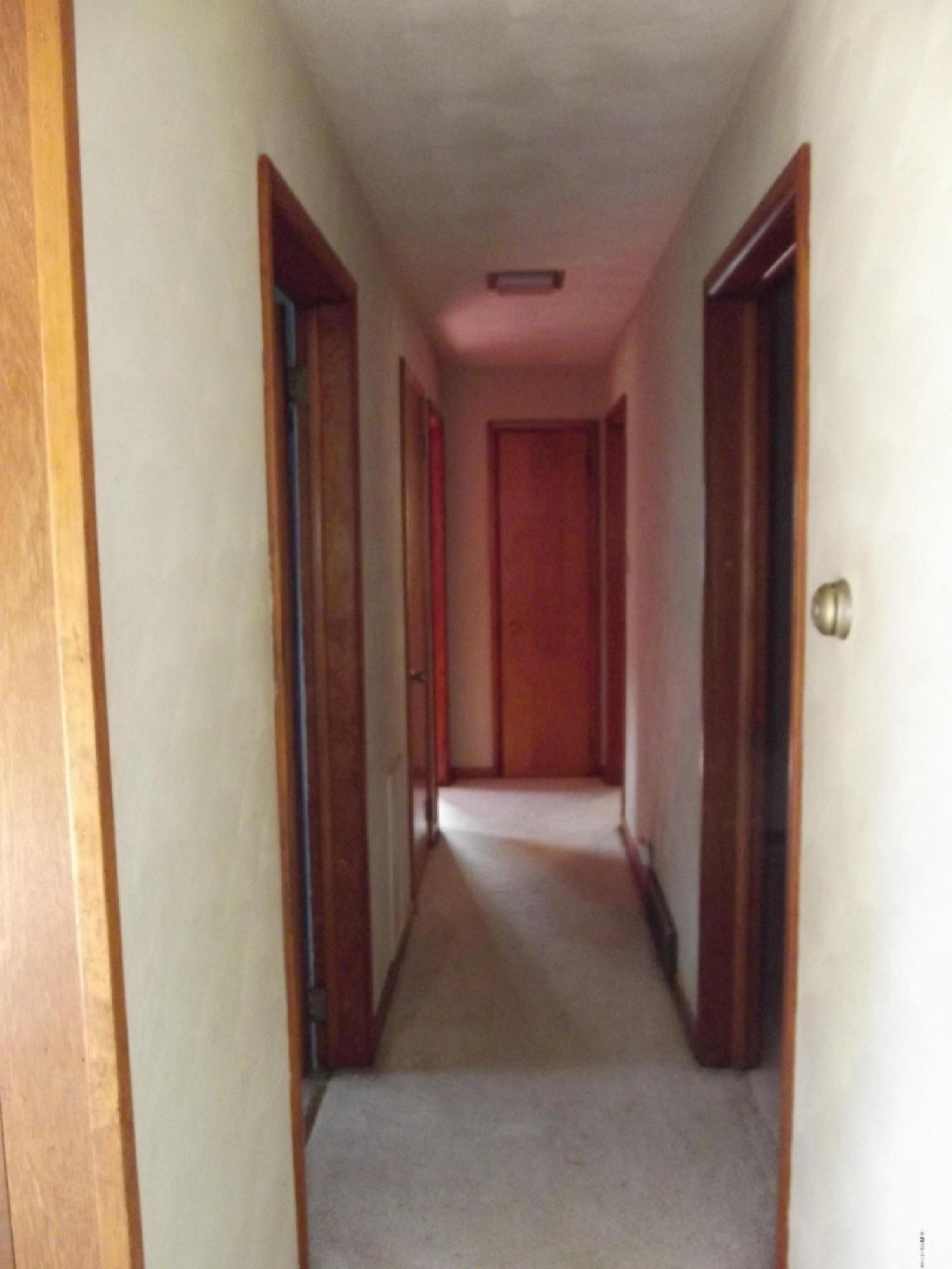 8511 Maple Grove Road Nashville, MI 49073 - Photo 7 of 35 DSCF1850