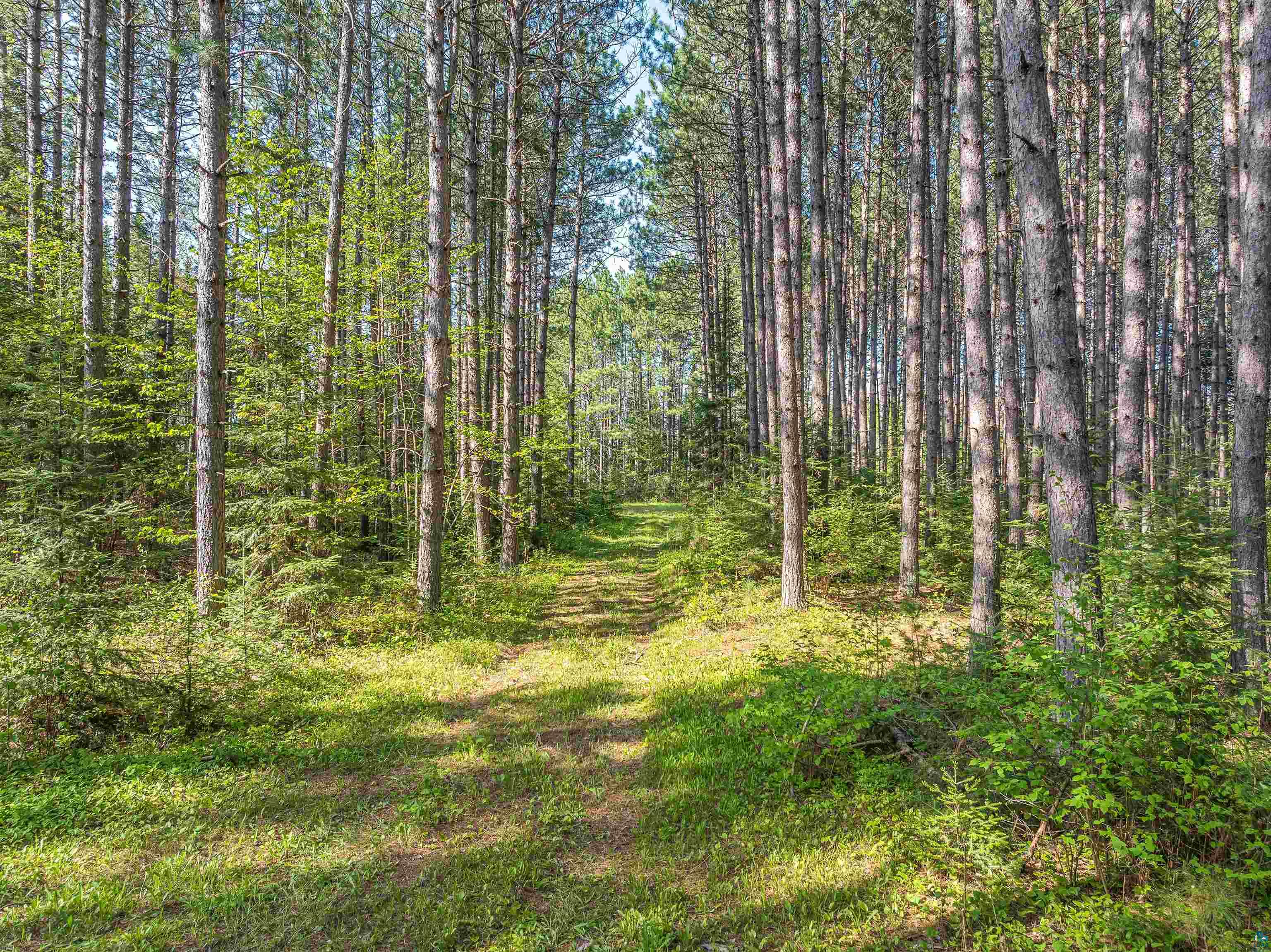 2685 Elliots Lake Road Eveleth, MN 55734 - Photo 17 of 22