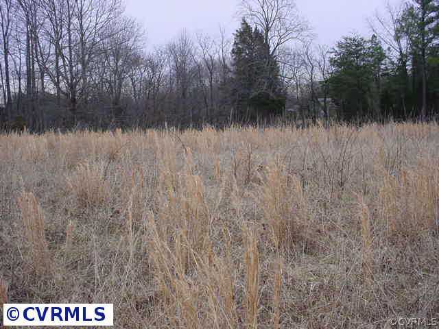 709 Holland Road Farmville, VA 23901 - Photo 4 of 5 a view of a garden