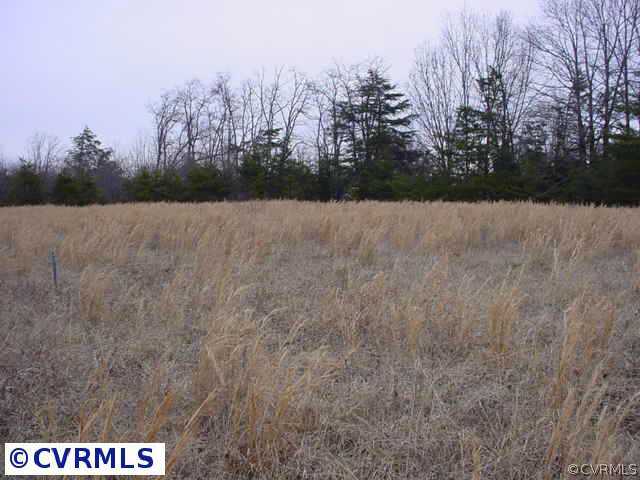 709 Holland Road Farmville, VA 23901 - Photo 5 of 5