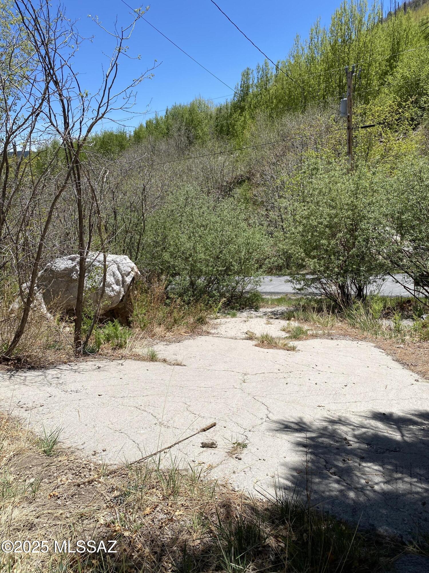 10991 East Carter Canyon Road, Unit 18 Mount Lemmon, AZ 85619 - Photo 4 of 8