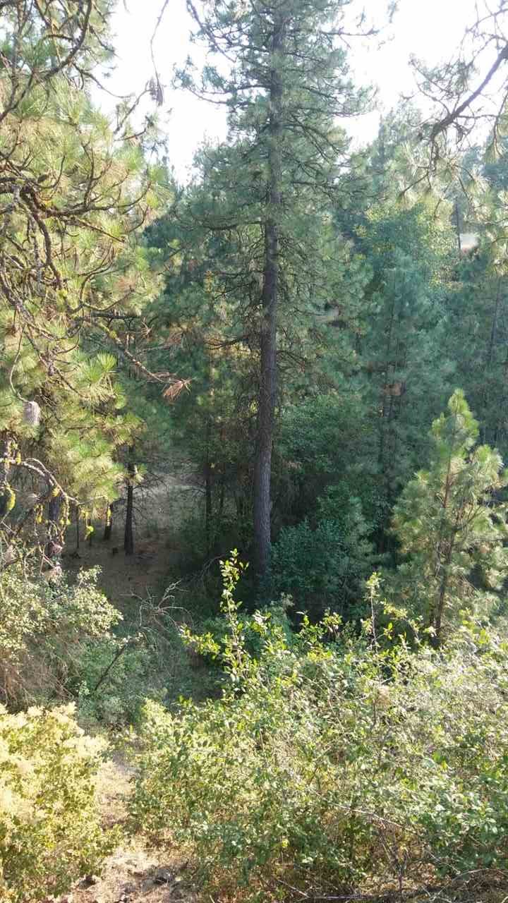 Xxx South Long Road Cheney, WA 99004 - Photo 3 of 18