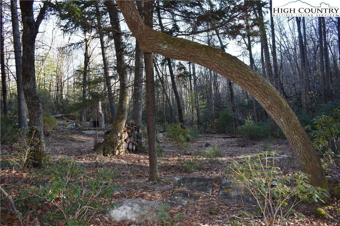 Mckinley Road Glade Valley, NC 28627 - Photo 1 of 31 Gallery Image 1