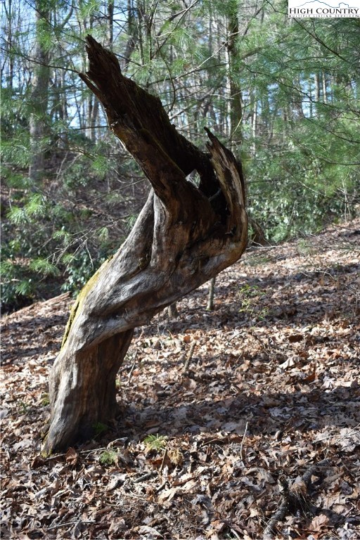 Mckinley Road Glade Valley, NC 28627 - Photo 11 of 31 Gallery Image 11