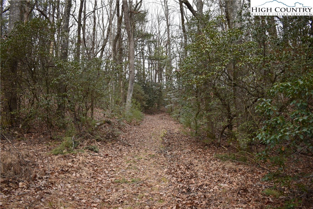 Mckinley Road Glade Valley, NC 28627 - Photo 13 of 31 Gallery Image 13
