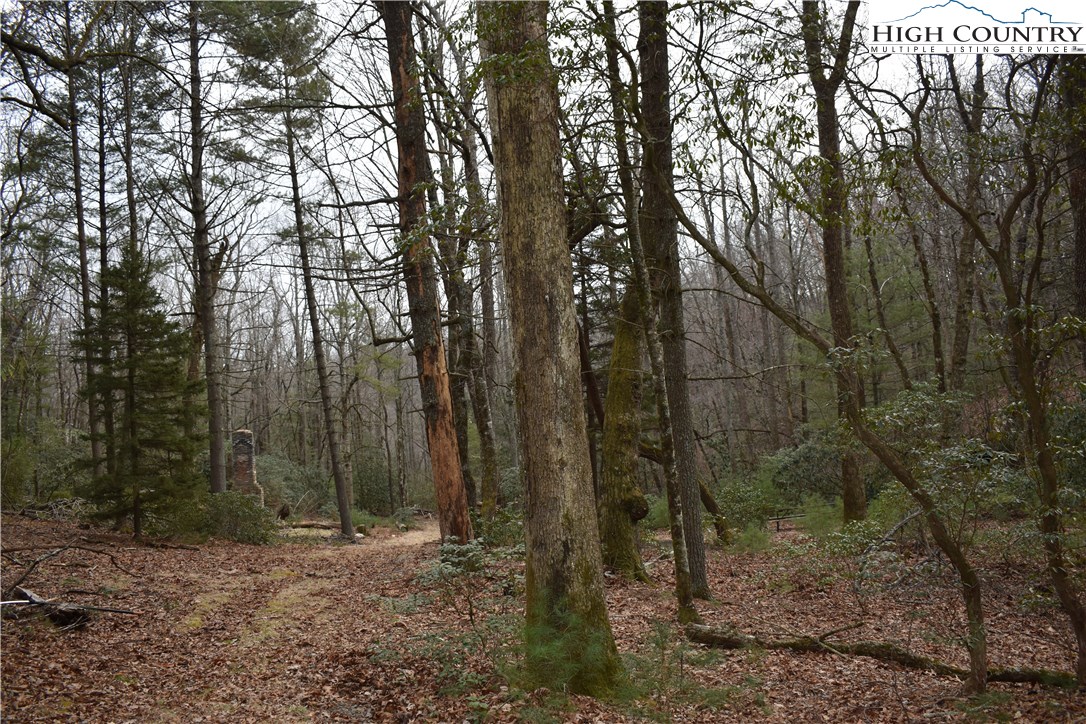 Mckinley Road Glade Valley, NC 28627 - Photo 14 of 31 Gallery Image 14