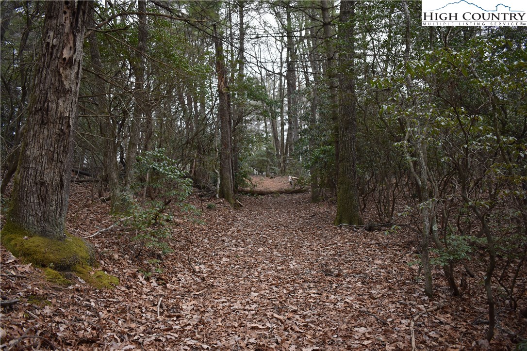 Mckinley Road Glade Valley, NC 28627 - Photo 15 of 31 Gallery Image 15