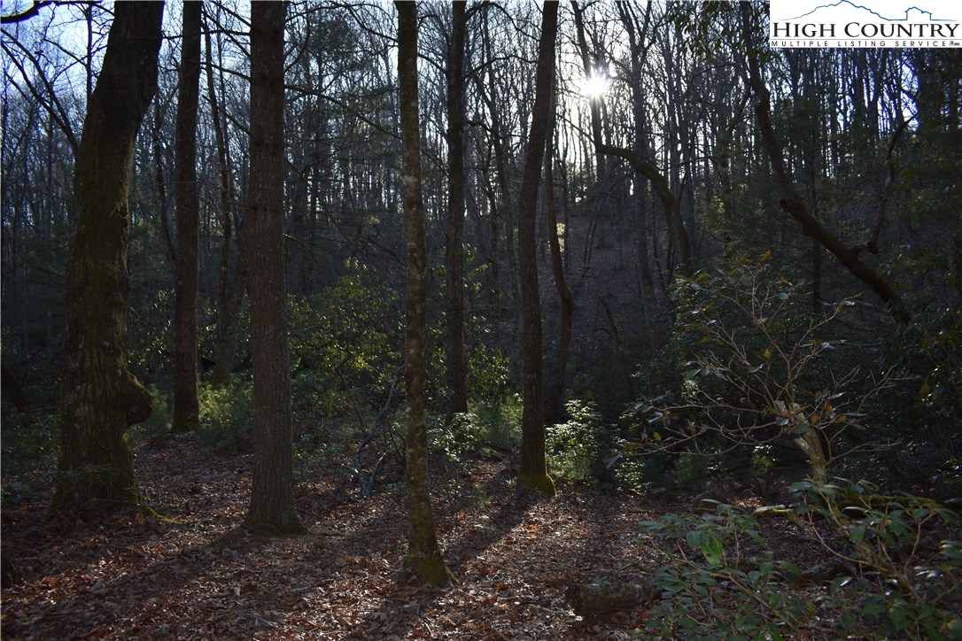 Mckinley Road Glade Valley, NC 28627 - Photo 16 of 31 Gallery Image 16