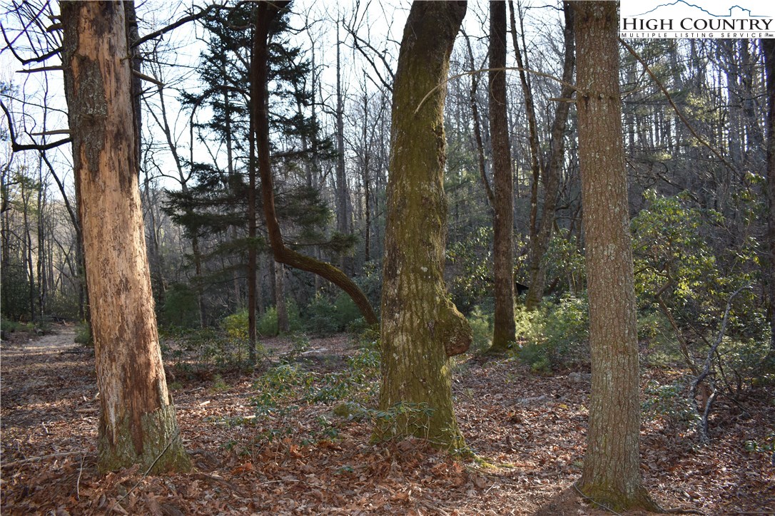 Mckinley Road Glade Valley, NC 28627 - Photo 17 of 31 Gallery Image 17
