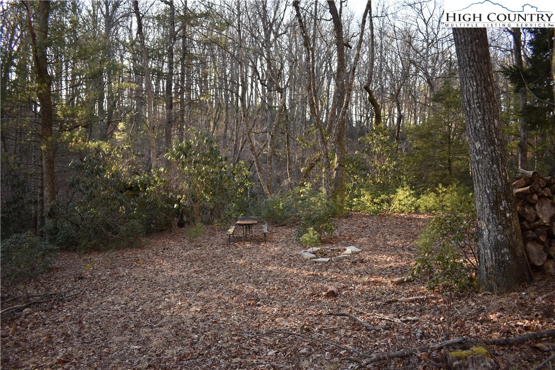 Mckinley Road Glade Valley, NC 28627 - Photo 18 of 31 Gallery Image 18