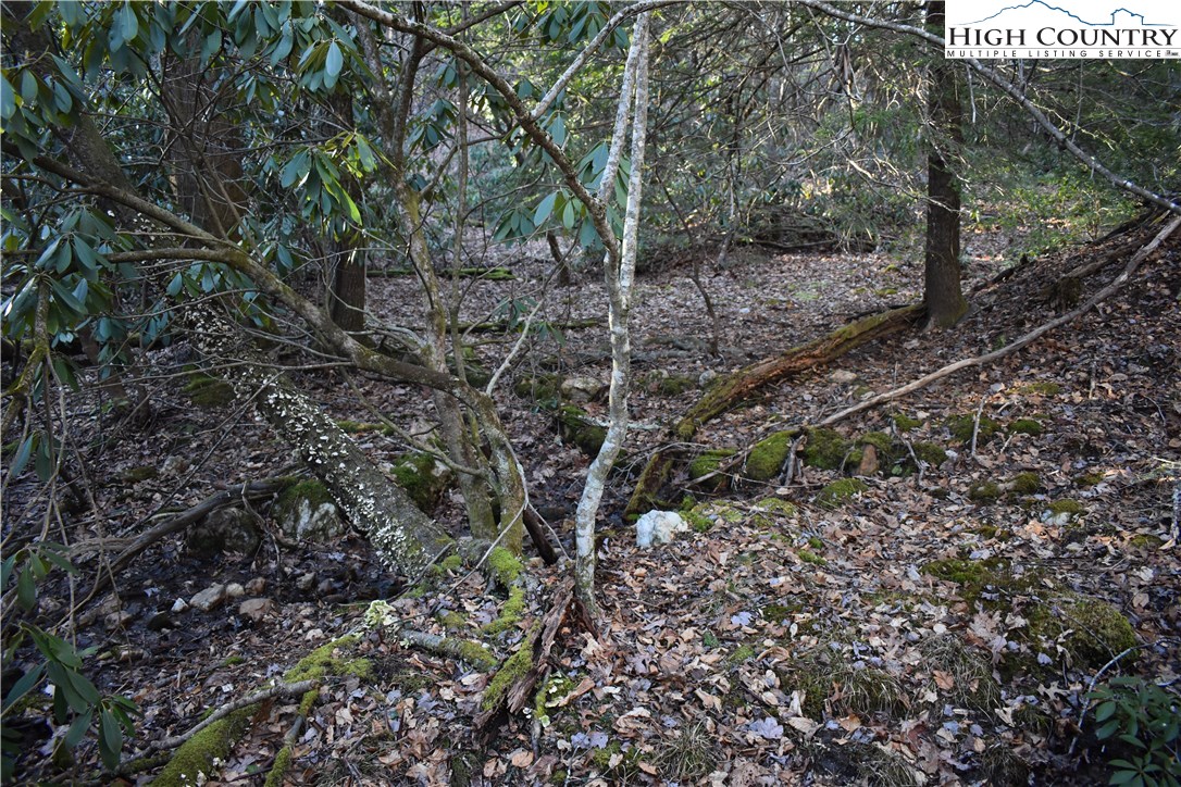 Mckinley Road Glade Valley, NC 28627 - Photo 20 of 31 Gallery Image 20