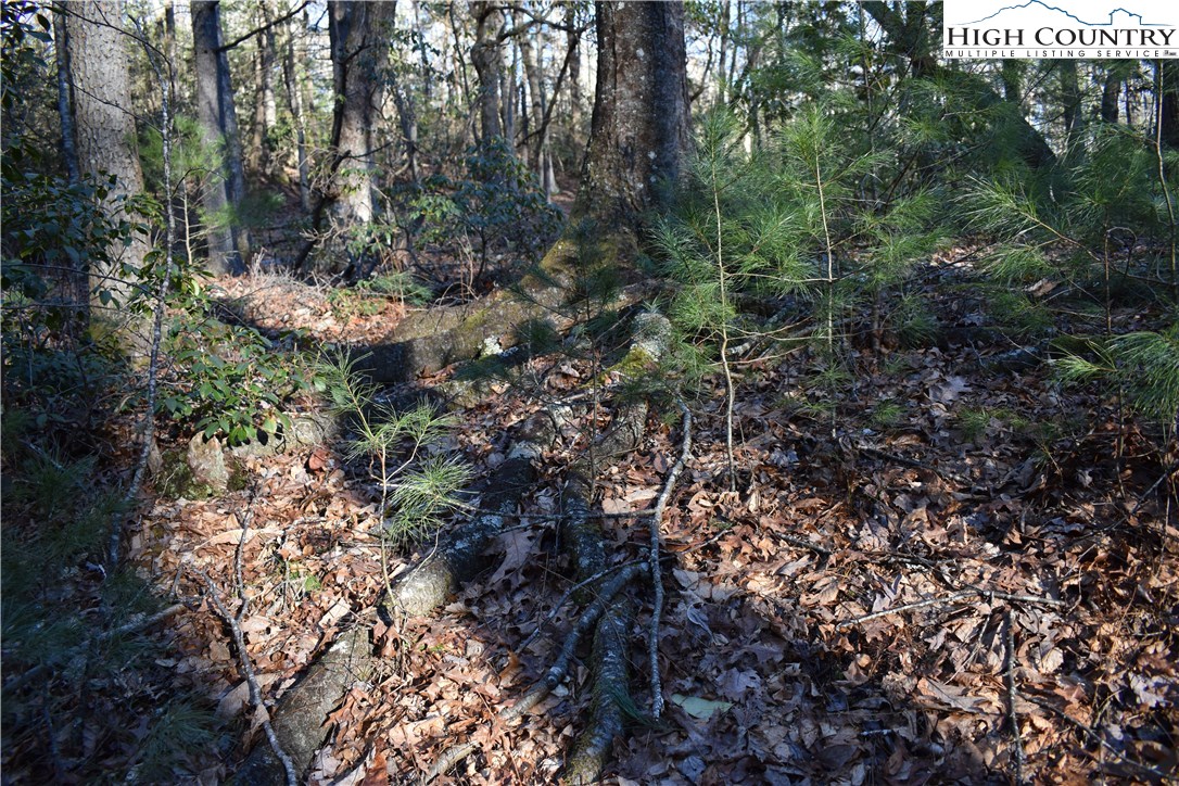 Mckinley Road Glade Valley, NC 28627 - Photo 21 of 31 Gallery Image 21