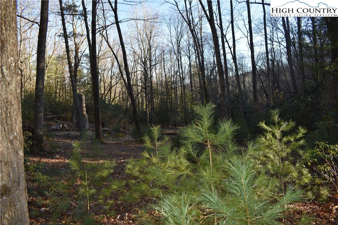 Mckinley Road Glade Valley, NC 28627 - Photo 22 of 31 Gallery Image 22