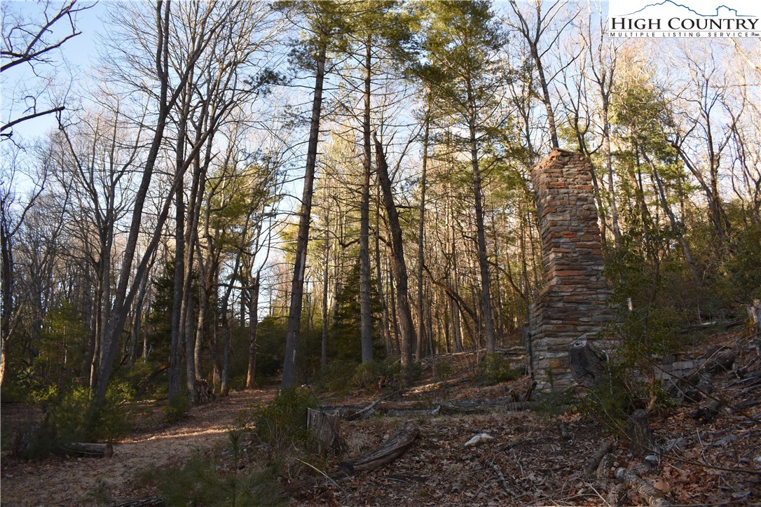 Mckinley Road Glade Valley, NC 28627 - Photo 24 of 31 Gallery Image 24