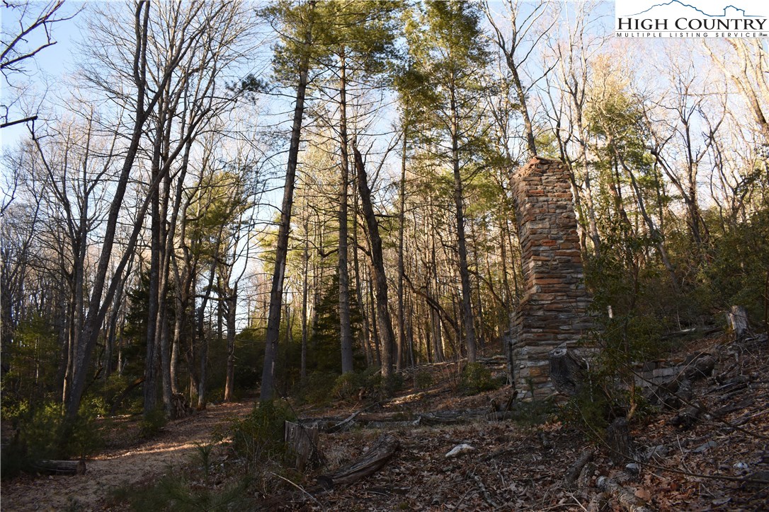 Mckinley Road Glade Valley, NC 28627 - Photo 25 of 31 Gallery Image 25
