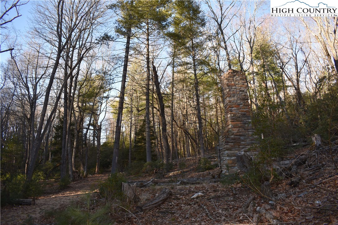 Mckinley Road Glade Valley, NC 28627 - Photo 26 of 31 Gallery Image 26
