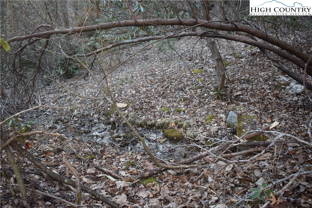 Mckinley Road Glade Valley, NC 28627 - Photo 27 of 31 Gallery Image 27