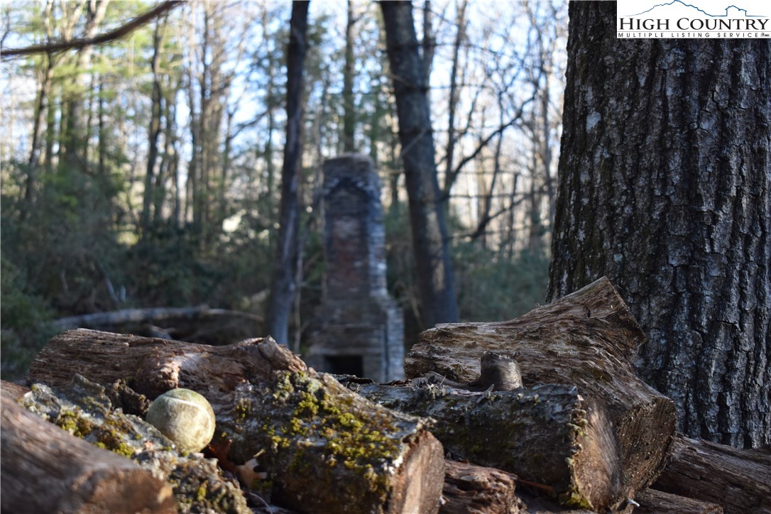 Mckinley Road Glade Valley, NC 28627 - Photo 29 of 31 Gallery Image 29