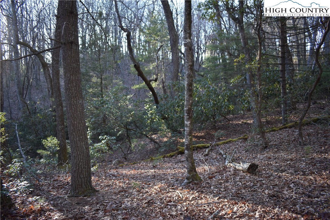 Mckinley Road Glade Valley, NC 28627 - Photo 30 of 31 Gallery Image 30