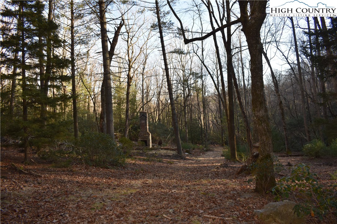 Mckinley Road Glade Valley, NC 28627 - Photo 3 of 31 Gallery Image 3