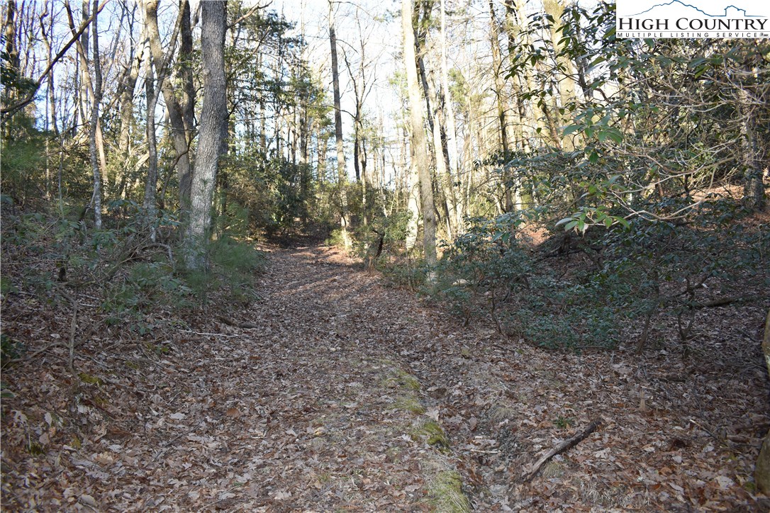 Mckinley Road Glade Valley, NC 28627 - Photo 31 of 31 Gallery Image 31