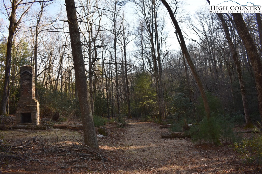 Mckinley Road Glade Valley, NC 28627 - Photo 7 of 31 Gallery Image 7