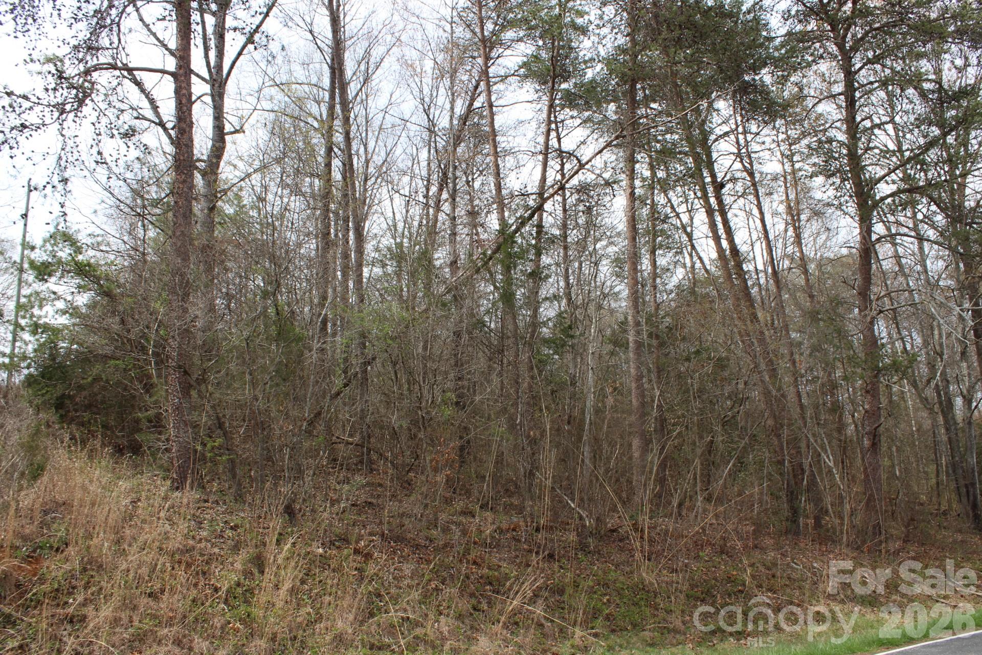 0 Vashti Road Hiddenite, NC 28636 - Photo 18 of 38 a view of forest