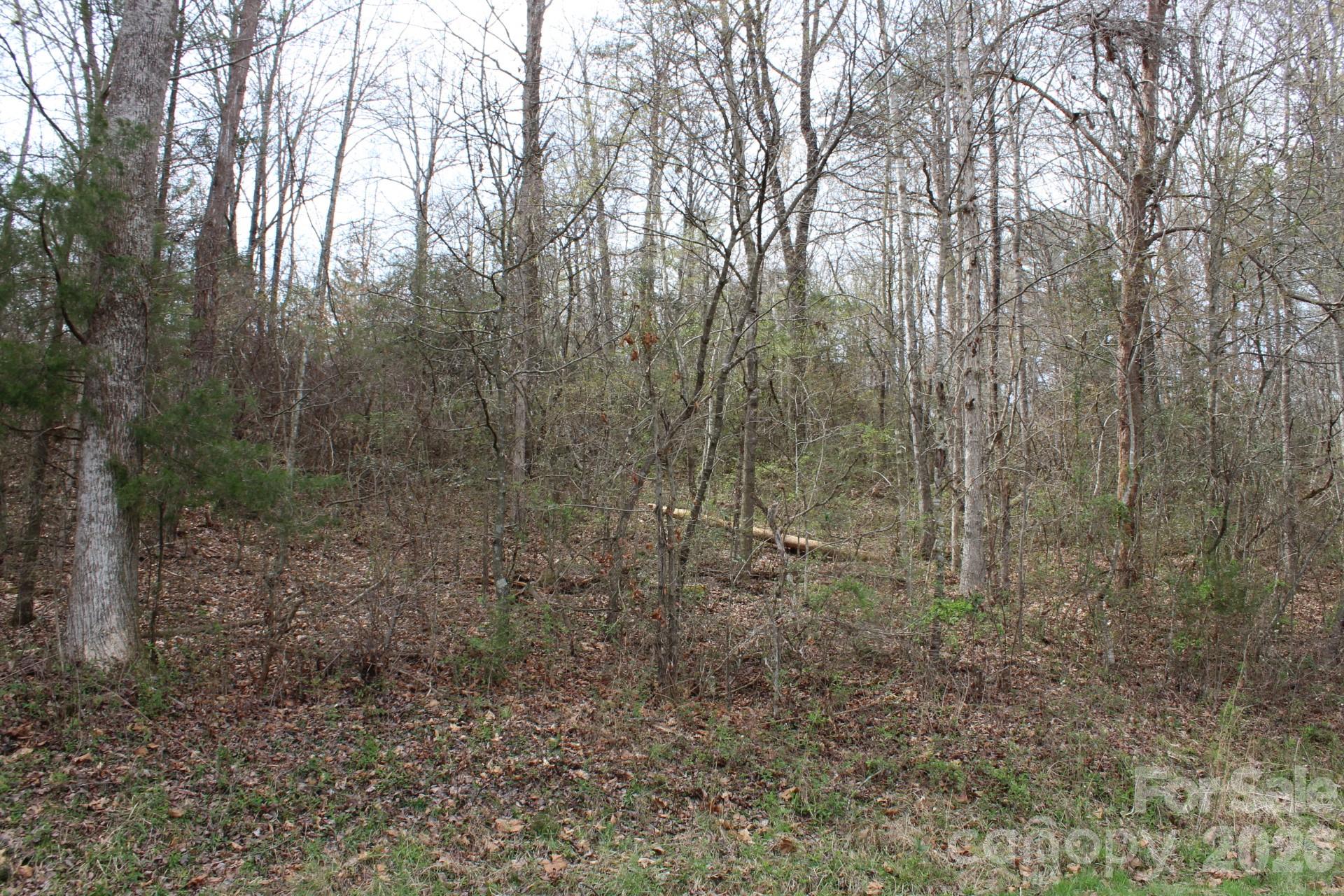 0 Vashti Road Hiddenite, NC 28636 - Photo 19 of 38 a view of a forest with trees in the background